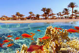 FLIGHT LUXOR HURGHADA