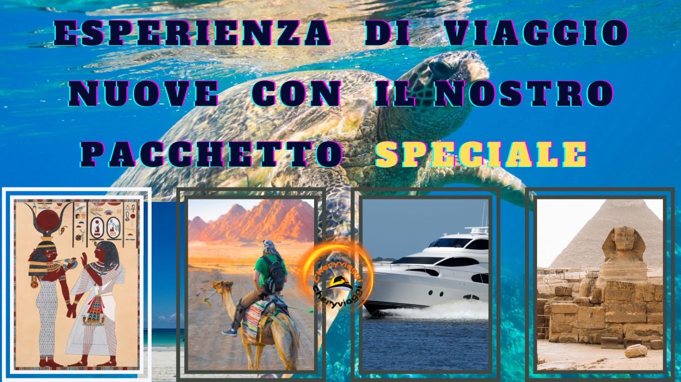 8 DAYS ( CAIRO - CRUISE ( ASWAN-LUXOR ) - CAIRO ) WITHOUT ABU SIMBEL